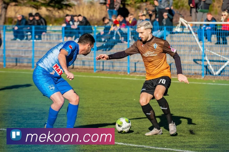 企业概况
